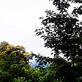 C360_2012-06-09-07-35-49