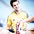 cesc1.png