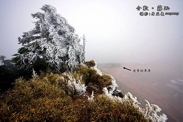 20130125合歡山霧淞