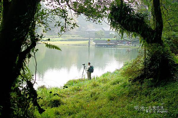 明池森林遊樂區