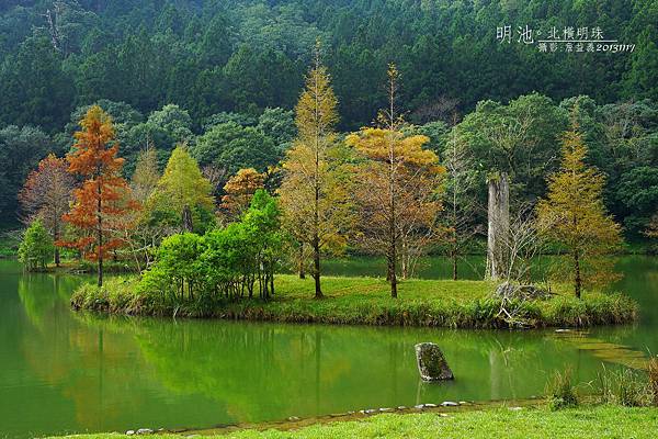 明池森林遊樂區