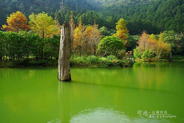 明池森林遊樂區