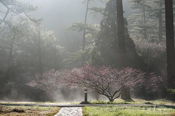 武陵農場武陵農場