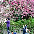 打必厝溪步道