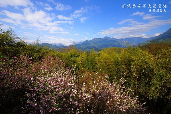 苗栗泰安半天寮