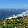 Point Reyes National Seashore雷斯岬