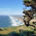 Point Reyes National Seashore雷斯岬