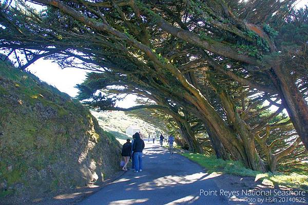 Point Reyes National Seashore雷斯岬