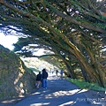 Point Reyes National Seashore雷斯岬