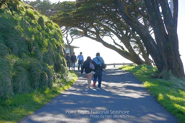 Point Reyes National Seashore雷斯岬