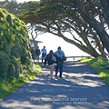 Point Reyes National Seashore雷斯岬