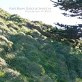 Point Reyes National Seashore雷斯岬