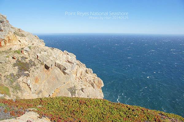 Point Reyes National Seashore雷斯岬