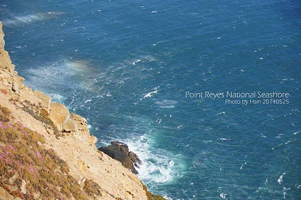 Point Reyes National Seashore雷斯岬