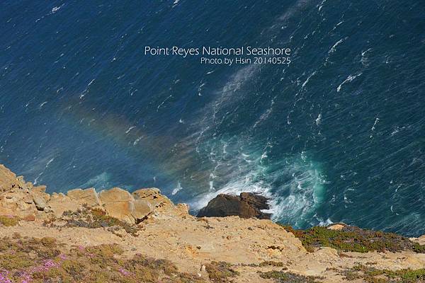 Point Reyes National Seashore雷斯岬