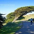 Point Reyes National Seashore雷斯岬