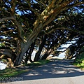 Point Reyes National Seashore雷斯岬