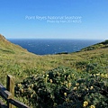 Point Reyes National Seashore雷斯岬