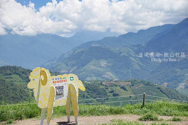 清境農場青青草原/清境农场