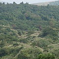 陽明山冷水坑芒花