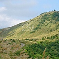 陽明山冷水坑芒花