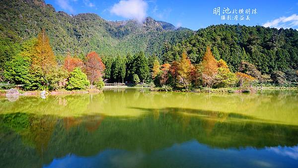 明池森林遊樂區