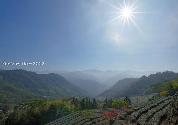 隙頂生力農場二館銪茗堂