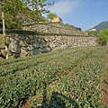 隙頂生力農場二館銪茗堂