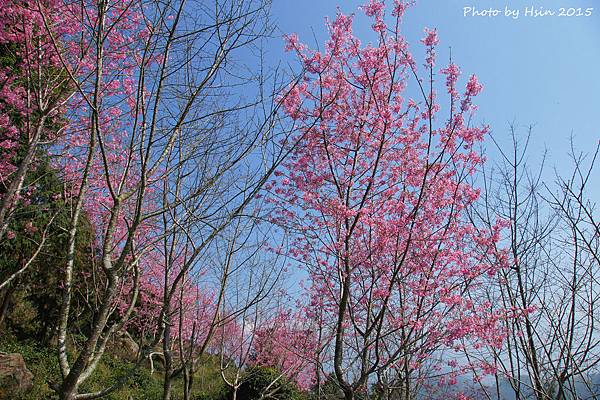 隙頂二延平步道