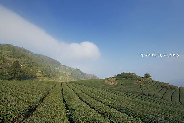 隙頂二延平步道