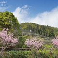 隙頂二延平步道