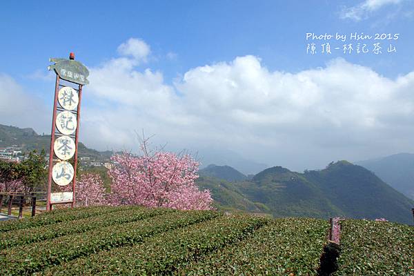 隙頂二延平步道