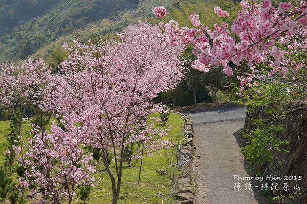 隙頂二延平步道