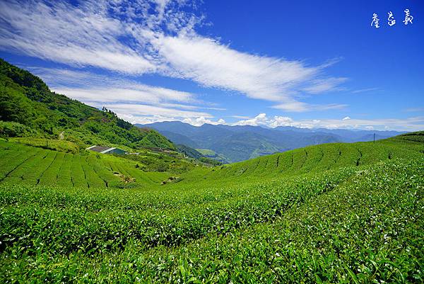 隙頂二延平步道