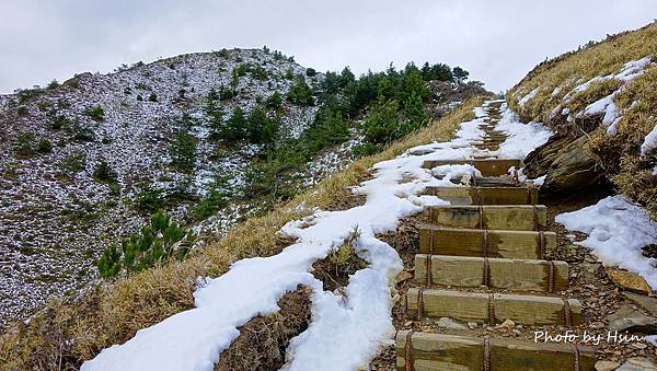 合歡山賞雪