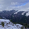 合歡山賞雪6