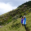 合歡東峰杜鵑花