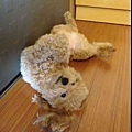 2012-04-13_15-00-50.jpg