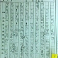 IMAG2482