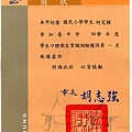 掃描313