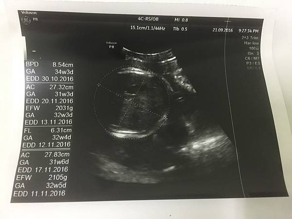 IMG_5542.JPG IMG_5542.JPG