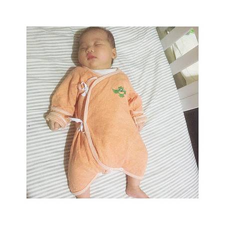 IMG_6556.JPG IMG_6556.JPG