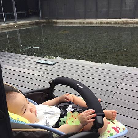 IMG_1624.JPG IMG_1624.JPG