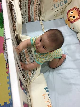 IMG_1915.JPG IMG_1915.JPG