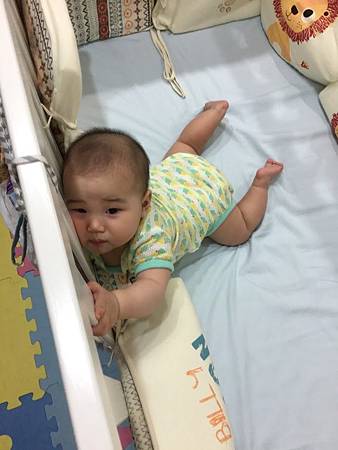 IMG_1916.JPG IMG_1916.JPG