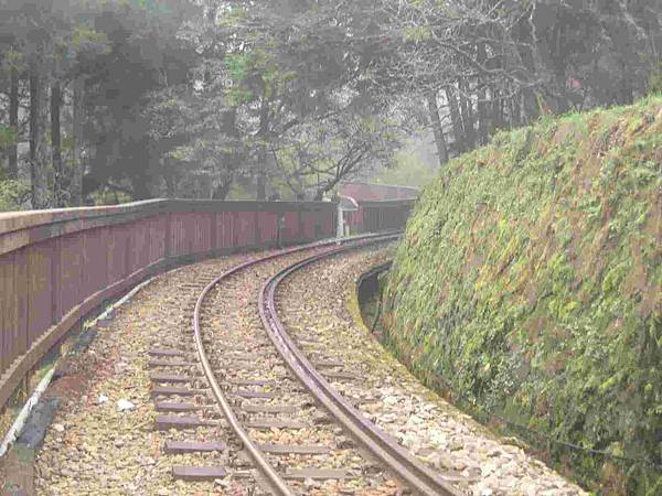 阿里山小火車鐵道-s.jpg