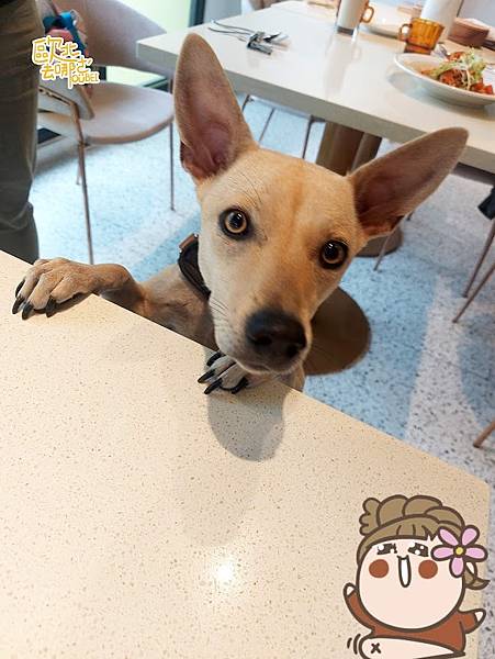 InShot_20230601_002446232.jpg InShot_20230601_002446232.jpg