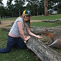 kangaroo