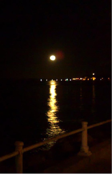 Moon.JPG Moon.JPG