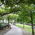DSC01334.JPG